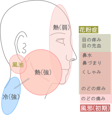 花粉症と風邪の違い 品川駅周辺 はりきゅう専門の鍼灸院 はりきゅうルーム カポス